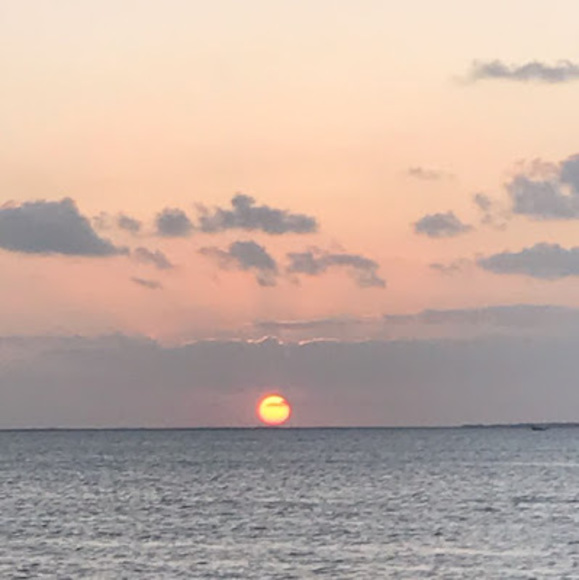 Meet your Posher, Angelina espinosa - Picture 1 of 1